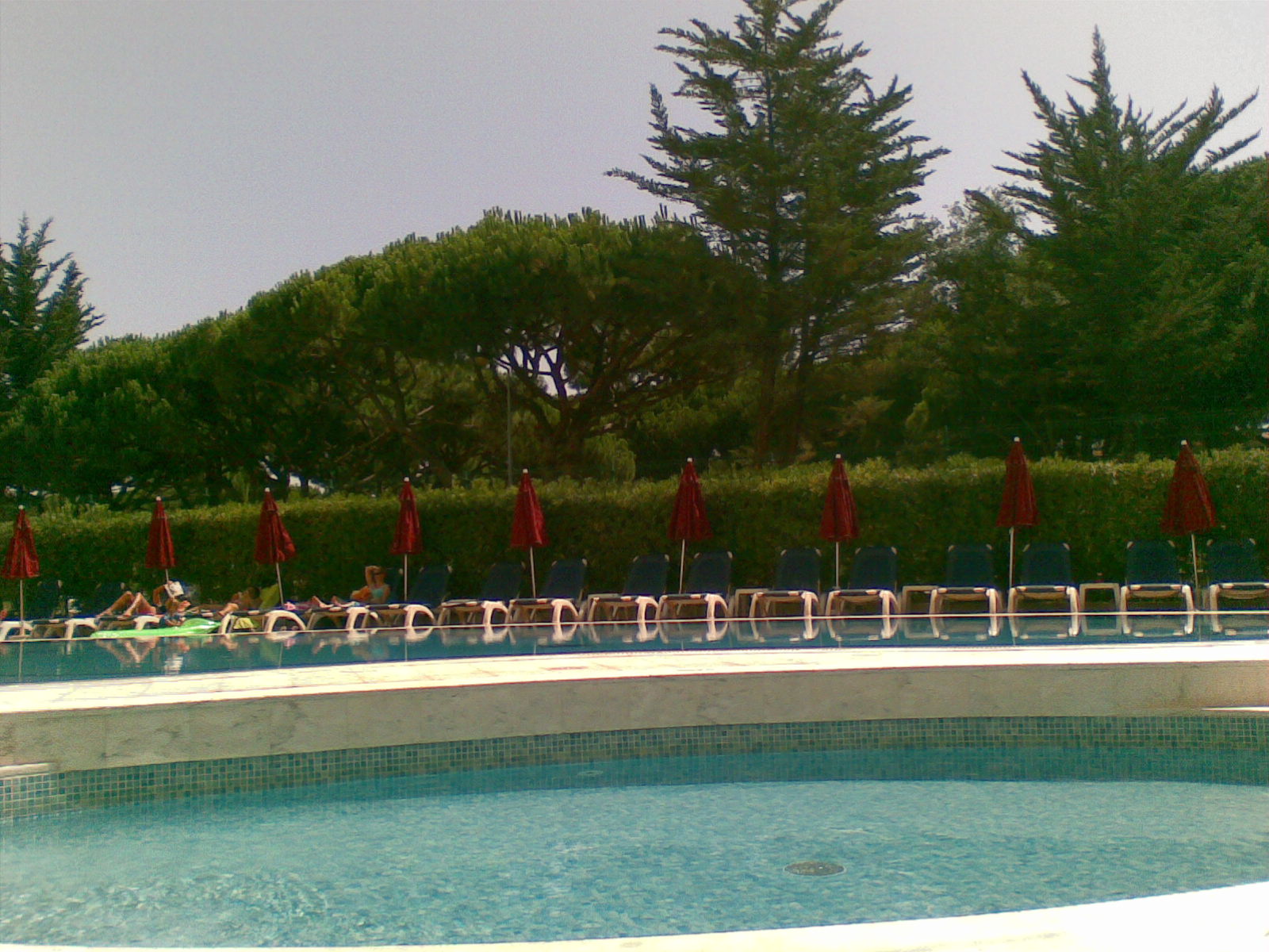 [26072009.jpg]