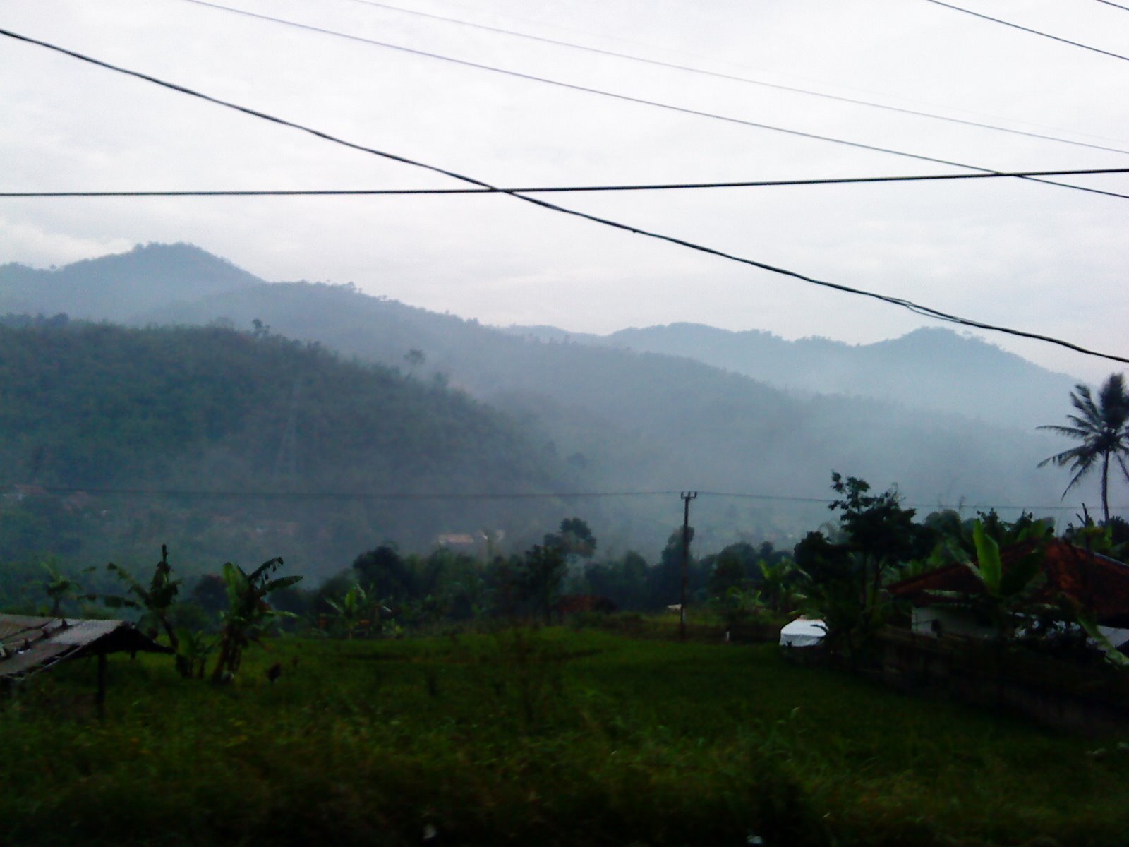 [DSC00151.JPG]