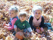 Fall in TN