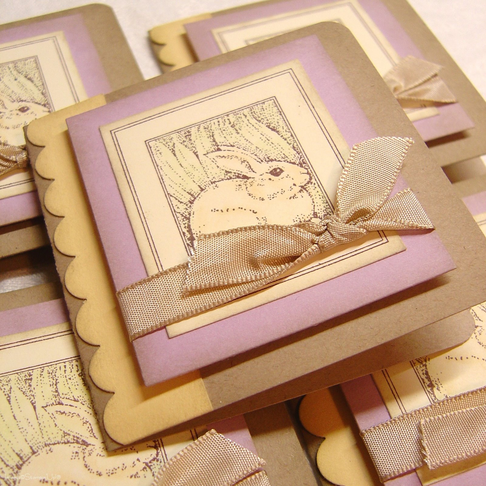 [MiniBunnyCards_shot]