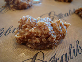 Close up of one Vegan Coconut Banana Cookie Bite