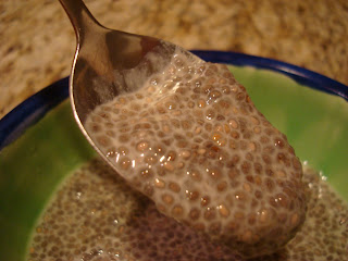 Spoon showing some of the chia seed pudding out of bowl