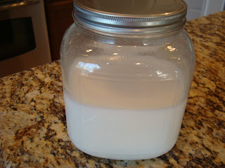 Coconut Milk Kefir in large glass jar
