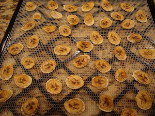 Finished sliced bananas on dehydrator tray