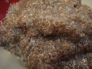 Close up of Vanilla Chia Seed Pudding