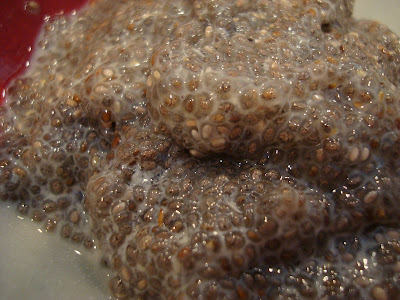 Vanilla Chia Seed Pudding close up in bowl
