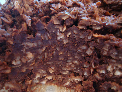 Close up of scoop taken out of Raw Vegan Chocolate Coconut Snowballs 