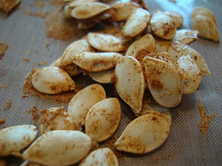 Dehydrated squash seeds showing the pumpkin pie spice coating