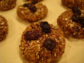 Close up of No Bake Vegan Oatmeal Raisin Cookies