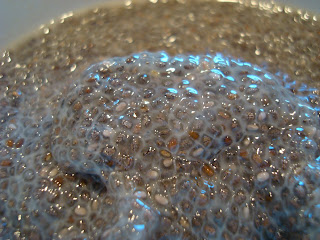 Close up of Holiday Peppermint Chia Seed Pudding