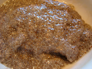 Holiday Peppermint Chia Seed Pudding thickened after sitting