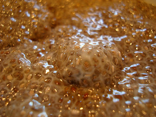 Close up of thickened Holiday Peppermint Chia Seed Pudding