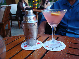 Cocktail shaker with a glass of pink liquor with orange slice