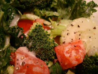 Close up of Mixed Salad with Vegan Slaw Dressing