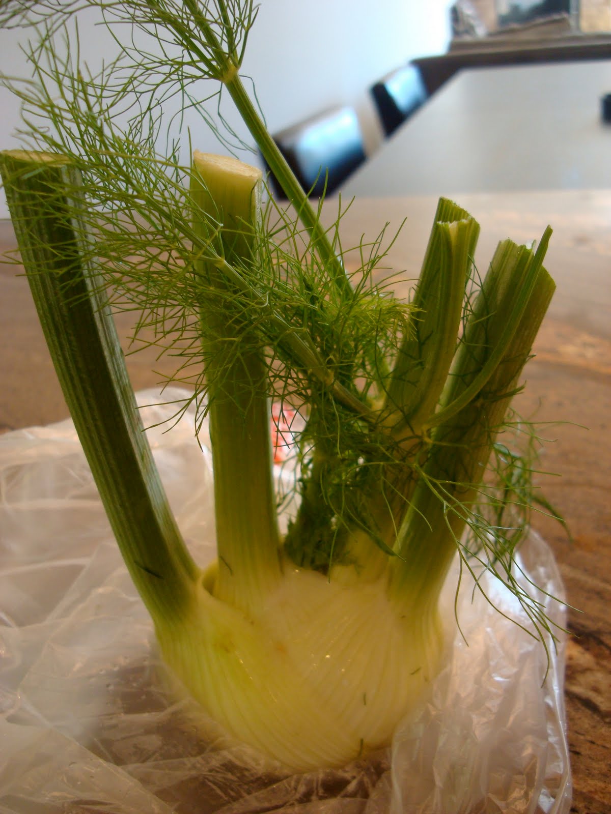 Roasted Fennel & Mixed Veggies, New to You Vegetables, Handling Conflict and Holding Grudges