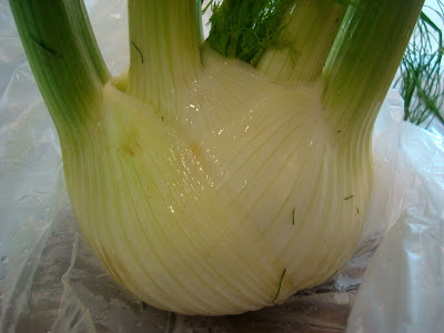 Close up of Fennel Bulb