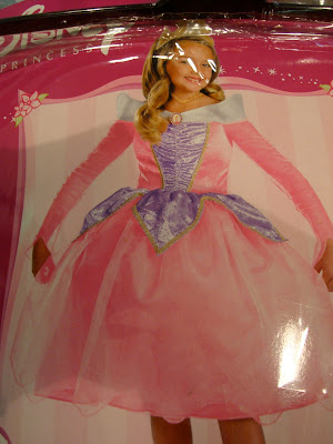 Close up of bag showing Fairy Princess Costume