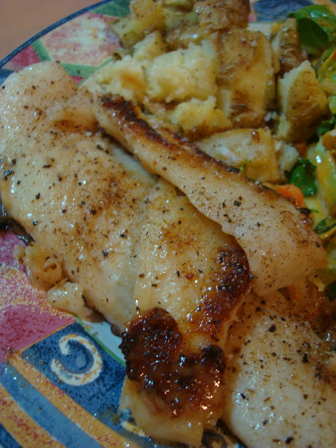 Close up of Grouper on plate with salad