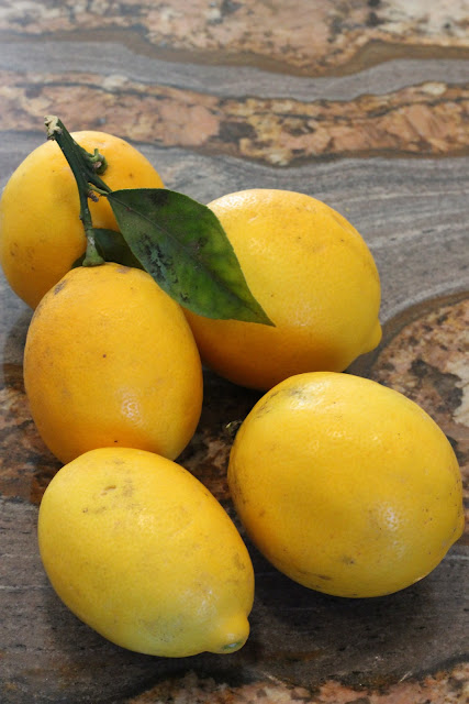 Lemons on stem on countertop