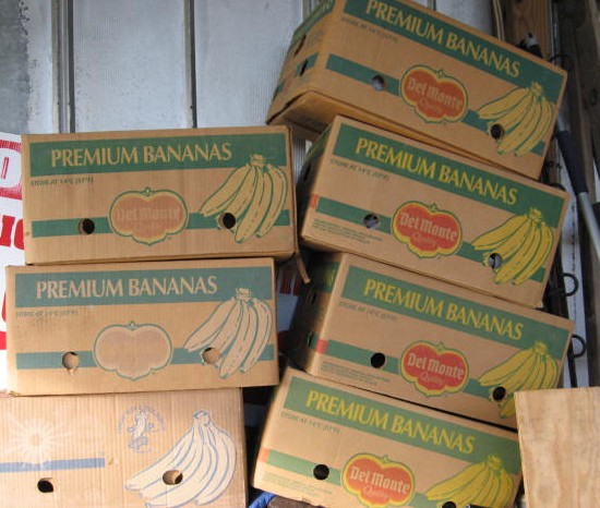 [banana.jpg]