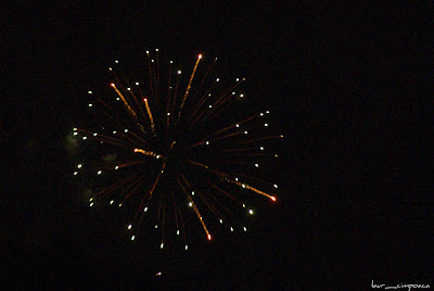 Fireworks-artificii