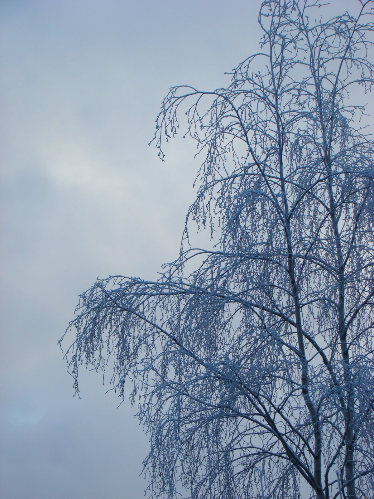 [DSC03335.JPG]