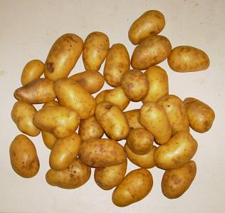 [new+potatoes.jpg]