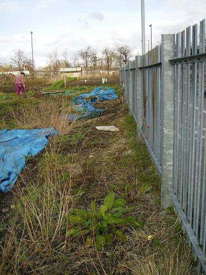 [FENCE+1.JPG]