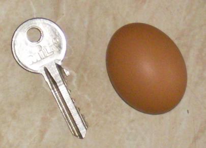 [mini+egg.JPG]