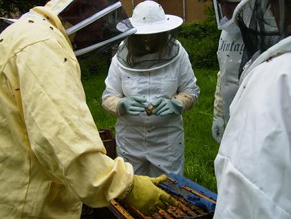 [beekeepers.JPG]