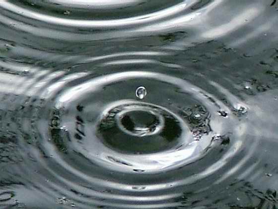 [rain20drops2002medium7vh.jpg]