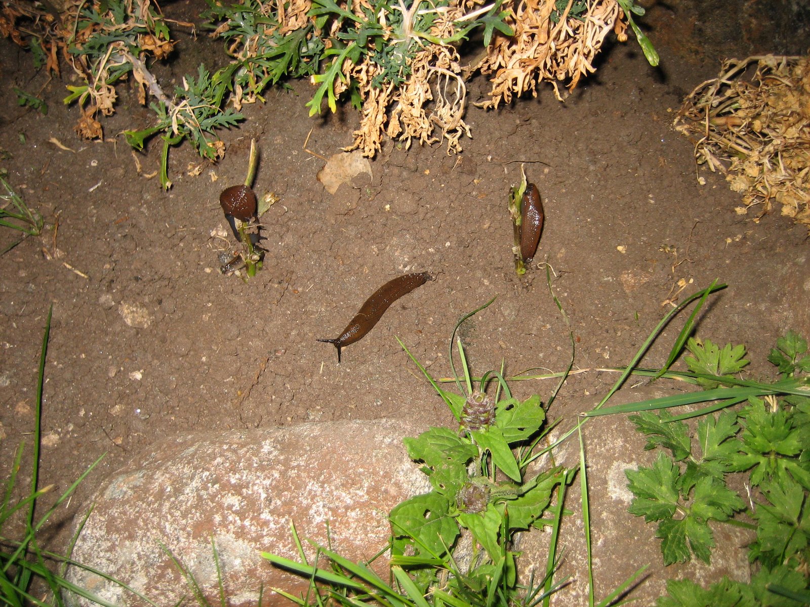 [IMG_5964.JPG]