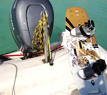 Wakeboarding