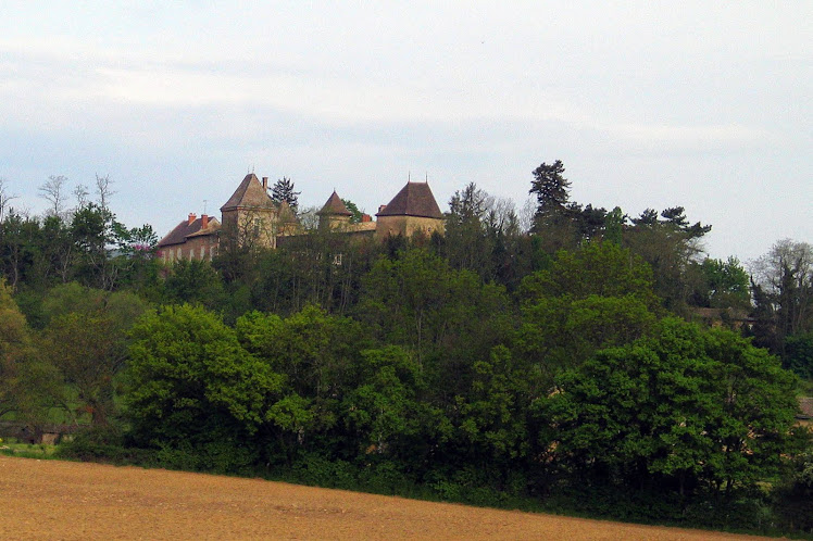 Château de St LEGER