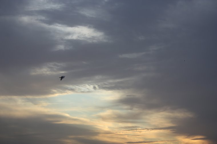 [IMG_0488.JPG]
