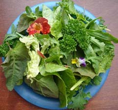 [Salad-Tossed.jpg]