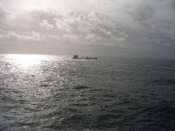 Madère - Portugal, décembre 2009