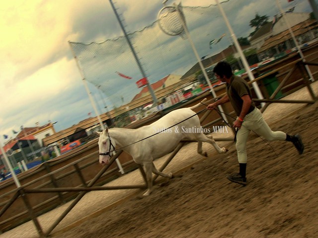 [Egua_Albina.II.JPG]