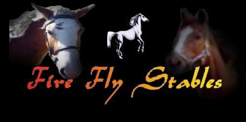 Fire Fly Stables Blog