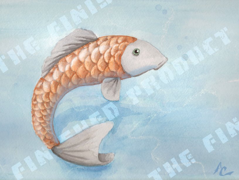 [Fish.jpg]