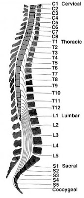 book phase diagrams for geoscientists an