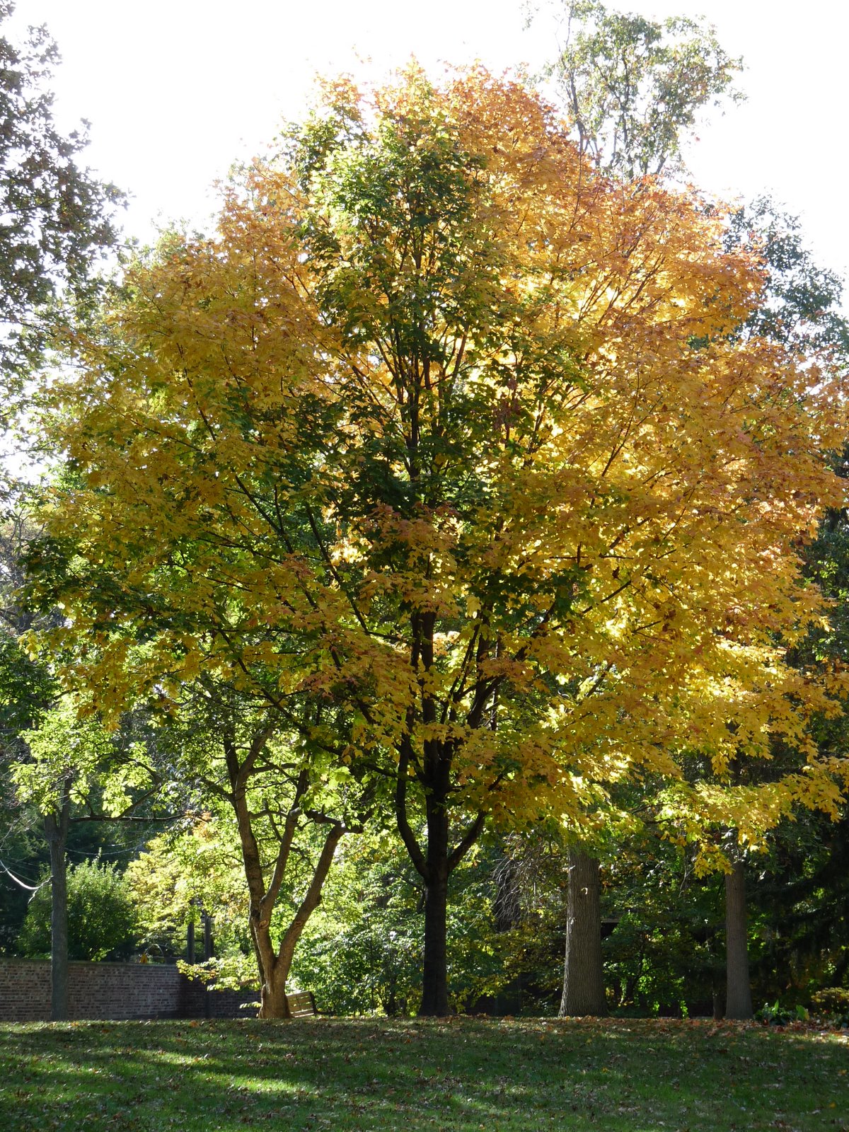 [fall08+002.jpg]