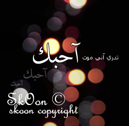 L76 At Skoon Tdrii 2nii Moot A7bk