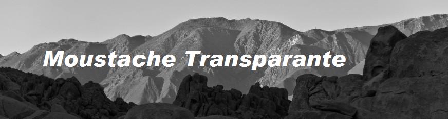 Moustache Transparante