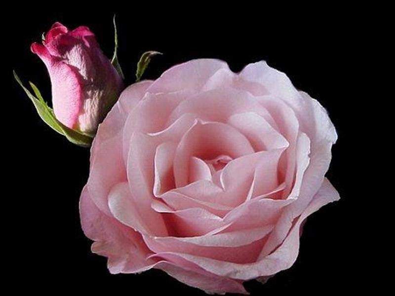 [Hablar+y+Callar.jpg]