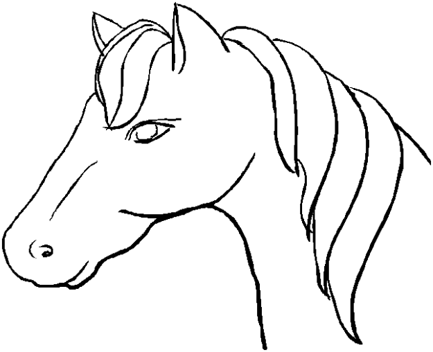 Animal Stronger " Horse Head " coloring to print