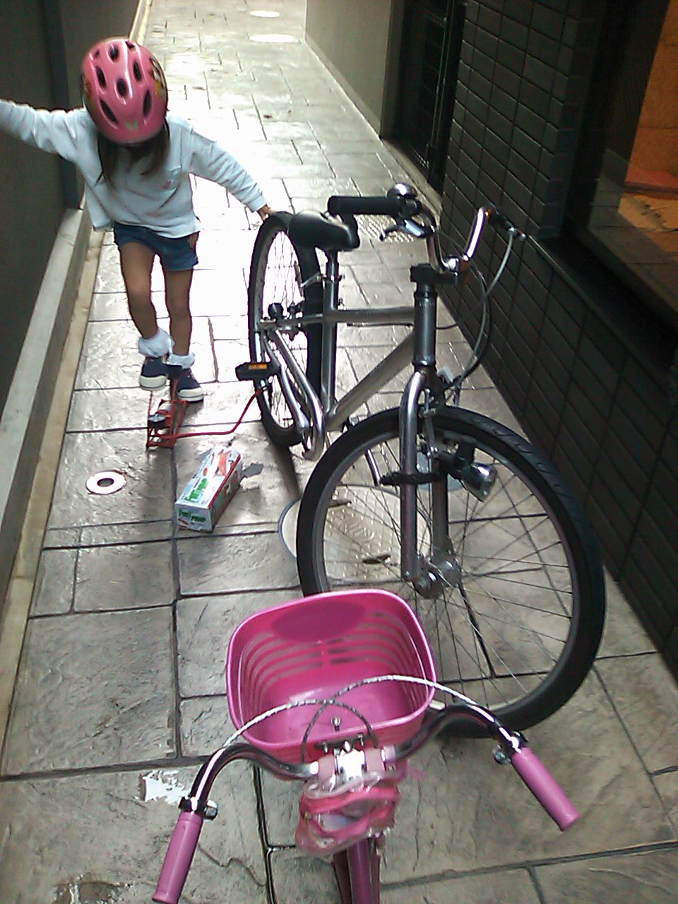 nearby bike shops