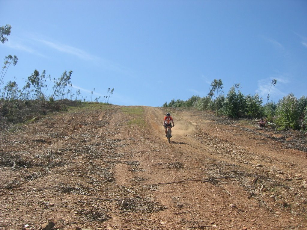 [IMG_0994.JPG]
