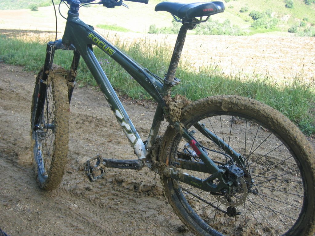 [IMG_1163.JPG]