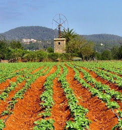 Agricultura Ecológica-Wikipedia